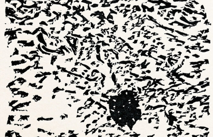 Sujet von Christian Thanhäuser für die Ausstellung Mutantengarten