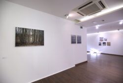 Ausstellungsansicht photo graz selection IV Porec