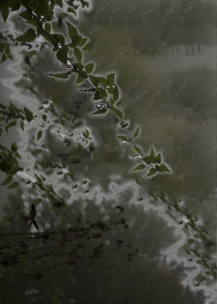 Fotografie SHIFT F5, 2019, Natascha Reiterer
