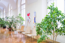 Ausstellungsansicht Zivilcourage von der HIB Liebenau in der Jugendgalerie des Grazer Rathauses