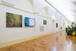 Ausstellungsansicht der Ausstellung Spur von Natascha Reiterer in der Fotogalerie im Grazer Rathaus