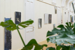 Ausstellungsansicht der Ausstellung Spur von Natascha Reiterer in der Fotogalerie im Grazer Rathaus