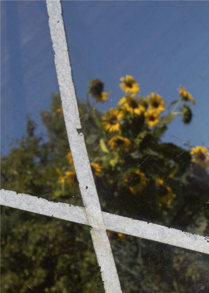 Fotografie von Xenia Nitzberg aus der Serie Idylle