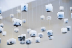 Vernissage Mutantengarten AAI Graz