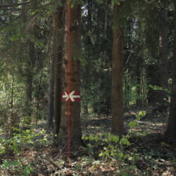 Staatsgrenze – oder die Grenze im Kopf, Karl Zenz
