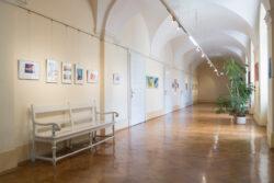 Ausstellungsansicht Natur # Wir in der Jugendgalerie im Grazer Rathaus