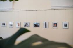 Ausstellungsansicht A Portrait of the Artist in der Fotogalerie im Grazer Rathaus