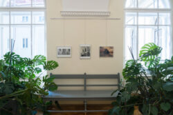 Ausstellungsansicht A Portrait of the Artist in der Fotogalerie im Grazer Rathaus