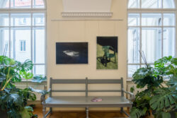 Ausstellung Fotogalerie im Grazer Rathaus Ortweinschule 2022