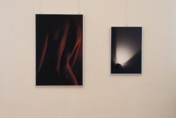Ausstellung Fotogalerie im Grazer Rathaus Ortweinschule 2022
