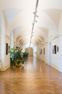 Ausstellung Fotogalerie im Grazer Rathaus Ortweinschule 2022