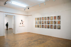 Ausstellungseröffnung PUTOUT von Zsuzsanna Szula und Josef Wurm in der Galerie Centrum