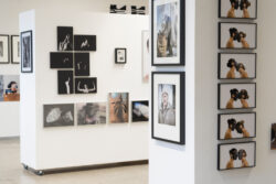 Ausstellungsansicht photo graz 022 im Alten Kino Leibnitz