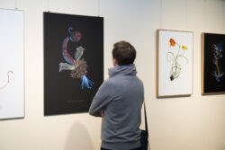 Eröffnung The Decolonized Mars von Marlene Mautner in der Fotogalerie im Grazer Rathaus