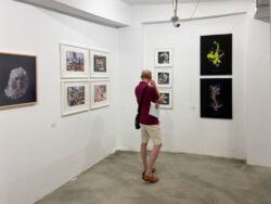 Ausstellungseröffnung photo graz selection V, Temesvar