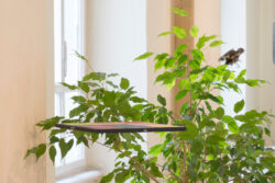 Hybridium Ortweinschule Kunst & Design Ausstellungsansichten