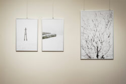 Ausstellungsansicht Ortweinschule 2023 in der Fotogalerie des Grazer Rathauses