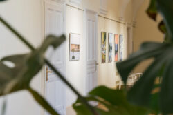 Ausstellungsansicht Ortweinschule 2023 in der Fotogalerie des Grazer Rathauses