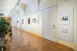 Ausstellungsansicht Ortweinschule 2023 in der Fotogalerie des Grazer Rathauses