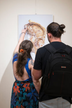 Eröffnung Lena Baloch Rebecca Unz gone to cultivate chili pepper Fotogalerie im Grazer Rathaus