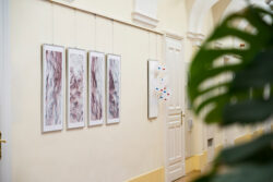 GUKUBI MATO SSW 23 Fotogalerie im Grazer Rathaus