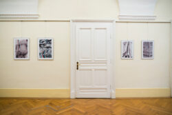 GUKUBI MATO SSW 23 Fotogalerie im Grazer Rathaus