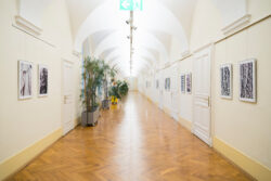 GUKUBI MATO SSW 23 Fotogalerie im Grazer Rathaus