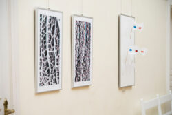 GUKUBI MATO SSW 23 Fotogalerie im Grazer Rathaus