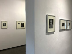 Archiv Erich Kees und Elisabeth Kraus Ausstellung Galerie Marenzi