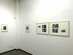 Archiv Erich Kees und Elisabeth Kraus Ausstellung Galerie Marenzi