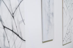 Ausstellungseröffnung Flügel von Lena Feitl, Galerie am Flughafen Graz
