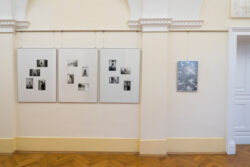 Fotogalerie im Grazer Rathaus, Ausstellung Fotografie Ortweinschule 2024