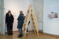 Ausstellungseröffnung Galaxienumarmung im Zentrum von Mirko Maric