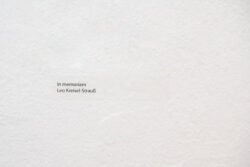 Ausstellungseröffnung Galaxienumarmung im Zentrum von Mirko Maric