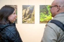Eröffnung Permeable Landscapes Lisa Hopf in der Fotogalerie im Grazer Rathaus
