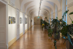 Permeable Landscapes von Lisa Hopf, Fotogalerie im Grazer Rathaus