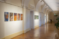 Permeable Landscapes von Lisa Hopf, Fotogalerie im Grazer Rathaus