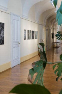 Fotografie Ortweinschule 2025, Fotogalerie im Grazer Rathaus