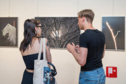 Fotografie Ortweinschule 2025, Fotogalerie im Grazer Rathaus