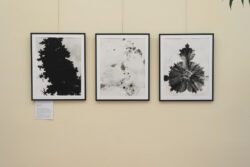 Ausstellung Fotogalerie im Grazer Rathaus | Steirische Positionen experimenteller Fotografie