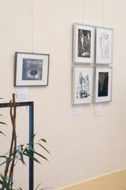 Ausstellung Fotogalerie im Grazer Rathaus | Steirische Positionen experimenteller Fotografie