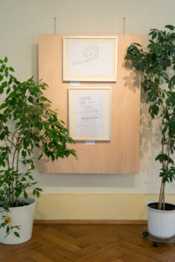 Ausstellung Jugendgalerie MS Ferdinandeum