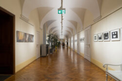 Erich Kees (1916–2006), Ausstellung in der Fotogalerie im Grazer Rathaus