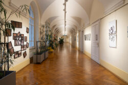Ausstellung foto : grafik von Andreas Ledl in der Fotogalerie im Grazer Rathaus