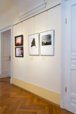Experimentelle Positionen der steirischen Fotografie, Part II: N–Z, Fotogalerie im Grazer Rathaus