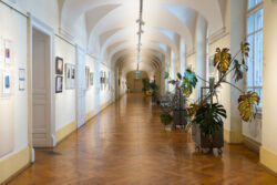 Experimentelle Positionen der steirischen Fotografie, Part II: N–Z, Fotogalerie im Grazer Rathaus