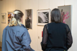 Ausstellung In Bewegung der Modellschule Graz in Jugendgalerie im Grazer Rathaus