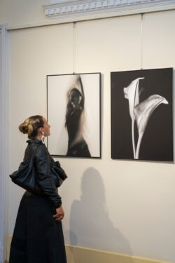 Eröffnung der Ausstellung Between the Lines von Anja Harrer und Nora Obergeschwandner in der Fotogalerie im Grazer Rathaus