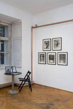 Ausstellung Galerie Centrum Wir zerschneiden die Geschichte Collagen von Julia Cimafiejeva | Klaus-Dieter Hartl | Nicole Wogg